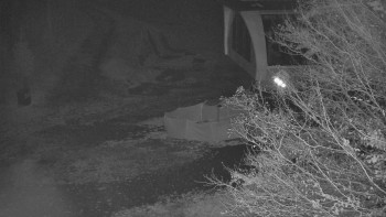 Snímek    3.11.2025 v 02:01