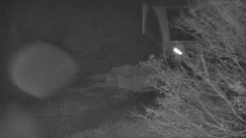 Snímek    3.11.2025 v 05:31