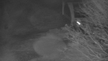 Snímek    3.11.2025 v 18:01