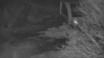 Snímek    3.11.2025 v 20:01