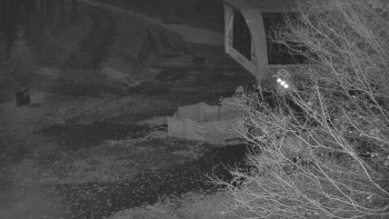 Snímek    3.11.2025 v 21:01