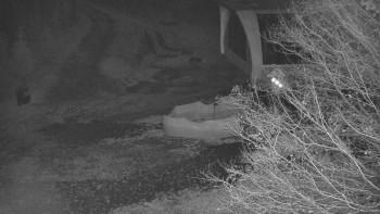 Snímek    4.11.2025 v 00:31