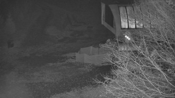 Snímek    4.11.2025 v 05:01