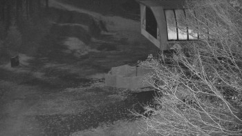 Snímek 5.11.2025 v 00:01