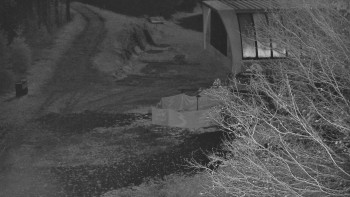 Snímek 5.11.2025 v 03:31