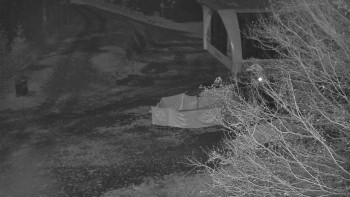 Snímek 6.11.2025 v 21:01