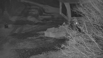 Snímek 7.11.2025 v 00:01