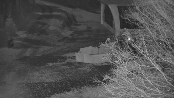 Snímek 7.11.2025 v 01:01