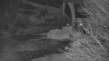 Snímek 7.11.2025 v 02:01