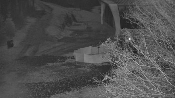 Snímek 7.11.2025 v 03:31