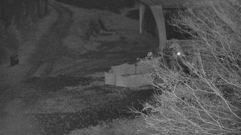 Snímek 7.11.2025 v 05:01