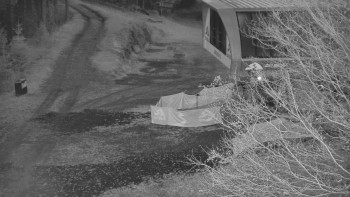 Snímek 7.11.2025 v 06:01