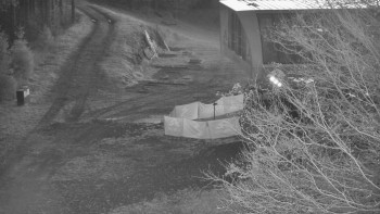 Snímek 7.11.2025 v 17:01