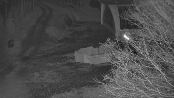 Snímek 7.11.2025 v 18:31