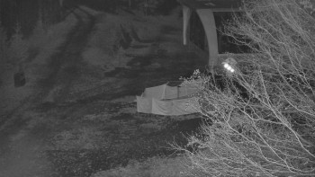 Snímek 7.11.2025 v 19:31