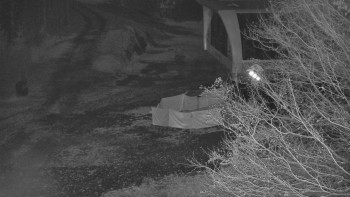 Snímek 7.11.2025 v 21:01