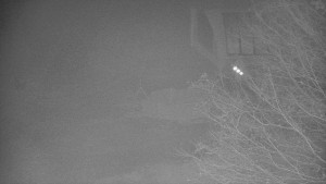 Skiareál Bílá - Lanovka - výstupní stanice - 14.11.2025 v 00:01 Skiareál Bílá - Lanovka - výstupní stanice - 14.11.2025 v 00:01