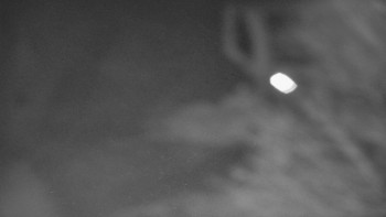 Snímek 14.11.2025 v 05:01