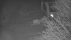 Lanovka - výstupní stanice