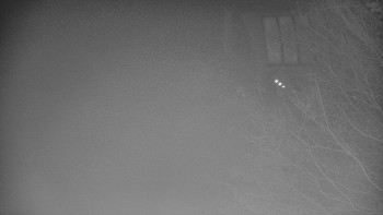 Snímek 16.11.2025 v 03:01