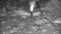 Lanovka - výstupní stanice