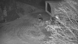 Lanovka - výstupní stanice