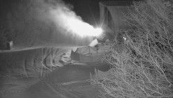 Lanovka - výstupní stanice