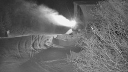 Lanovka - výstupní stanice