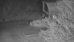 Lanovka - výstupní stanice