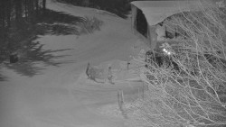 Lanovka - výstupní stanice