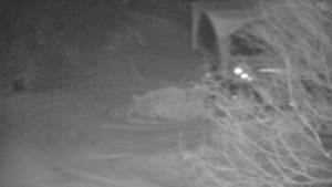 Skiareál Bílá - Lanovka - výstupní stanice - 7.1.2026 v 22:01 Skiareál Bílá - Lanovka - výstupní stanice - 7.1.2026 v 22:01