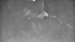 Lanovka - výstupní stanice