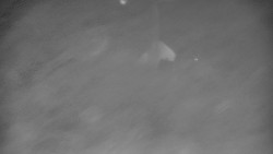 Lanovka - výstupní stanice