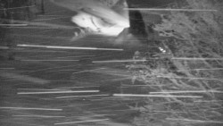 Lanovka - výstupní stanice