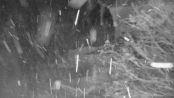 Lanovka - výstupní stanice