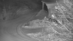 Lanovka - výstupní stanice