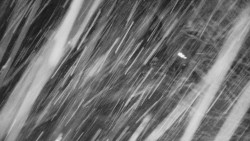 Lanovka - výstupní stanice