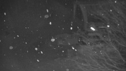 Lanovka - výstupní stanice