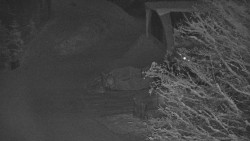 Lanovka - výstupní stanice