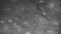 Lanovka - výstupní stanice