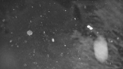 Lanovka - výstupní stanice