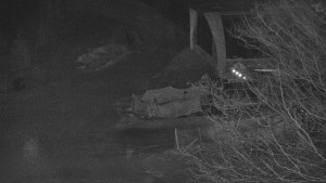 Skiareál Bílá - Lanovka - výstupní stanice - 6.2.2026 v 02:01 Skiareál Bílá - Lanovka - výstupní stanice - 6.2.2026 v 02:01