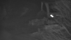 Lanovka - výstupní stanice