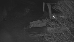 Lanovka - výstupní stanice