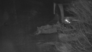 Skiareál Bílá - Lanovka - výstupní stanice - 13.2.2026 v 00:31 Skiareál Bílá - Lanovka - výstupní stanice - 13.2.2026 v 00:31