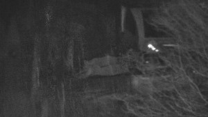 Skiareál Bílá - Lanovka - výstupní stanice - 13.2.2026 v 01:01 Skiareál Bílá - Lanovka - výstupní stanice - 13.2.2026 v 01:01