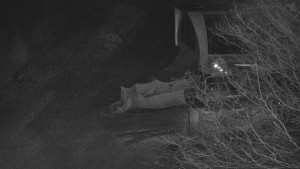 Skiareál Bílá - Lanovka - výstupní stanice - 13.2.2026 v 04:01 Skiareál Bílá - Lanovka - výstupní stanice - 13.2.2026 v 04:01