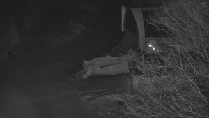 Skiareál Bílá - Lanovka - výstupní stanice - 13.2.2026 v 04:31 Skiareál Bílá - Lanovka - výstupní stanice - 13.2.2026 v 04:31