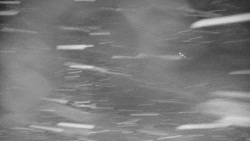 Lanovka - výstupní stanice