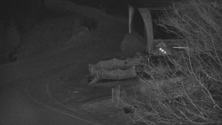 Lanovka - výstupní stanice